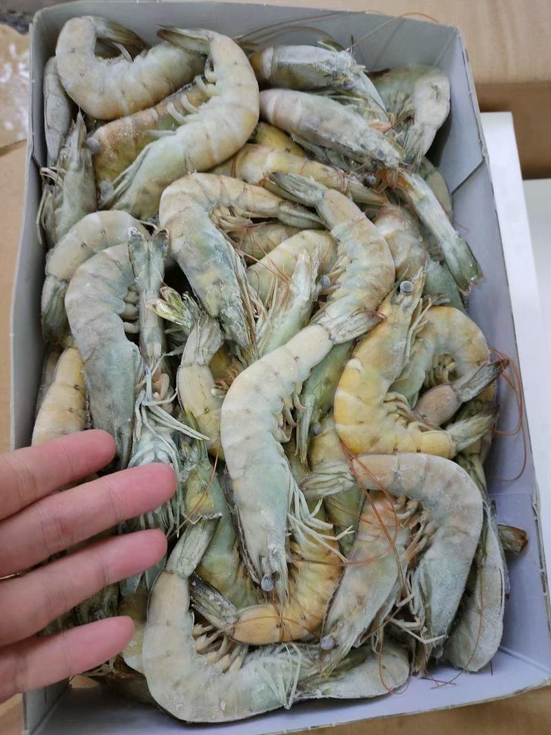 3040南美白对虾/青虾优质海鲜冻品食材