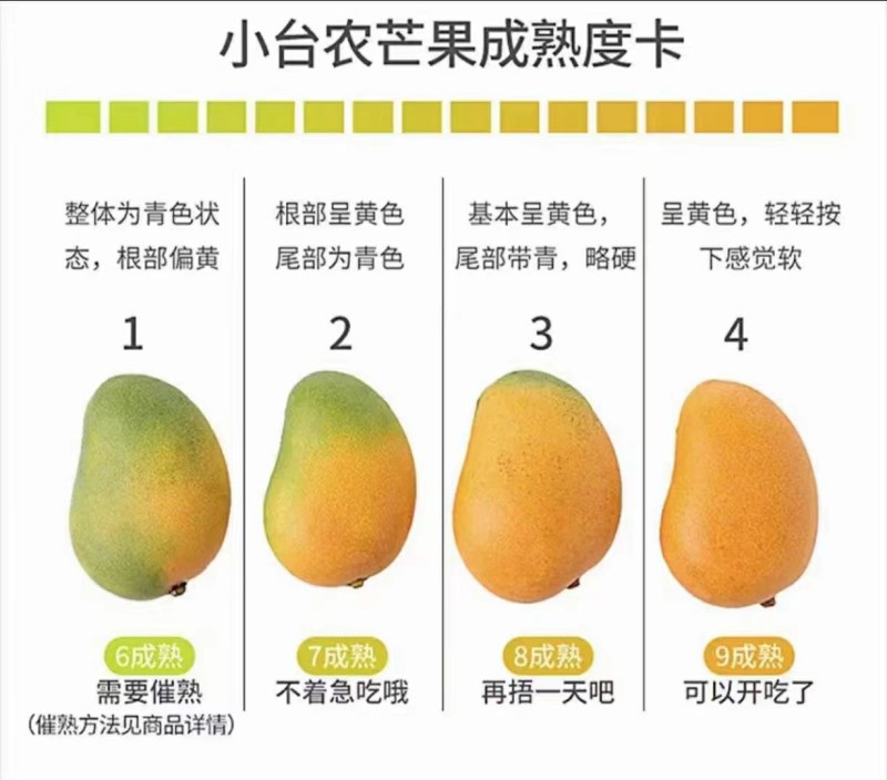 贵妃芒，台农芒金煌芒