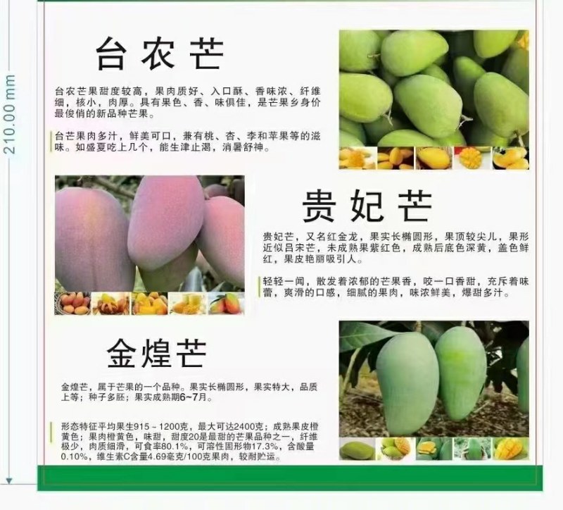 贵妃芒，台农芒金煌芒
