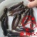 三黄塘虱鱼苗塘角鱼苗塘虱鱼苗胡子鲶提供技术指导