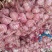 金乡大蒜5~5.5cm干蒜大量有货诚信实力代办全国发货