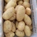 山东荷兰十五土豆/黄皮黄心土豆/希森土豆大量上市了