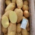 山东荷兰十五土豆/黄皮黄心土豆/希森土豆大量上市了