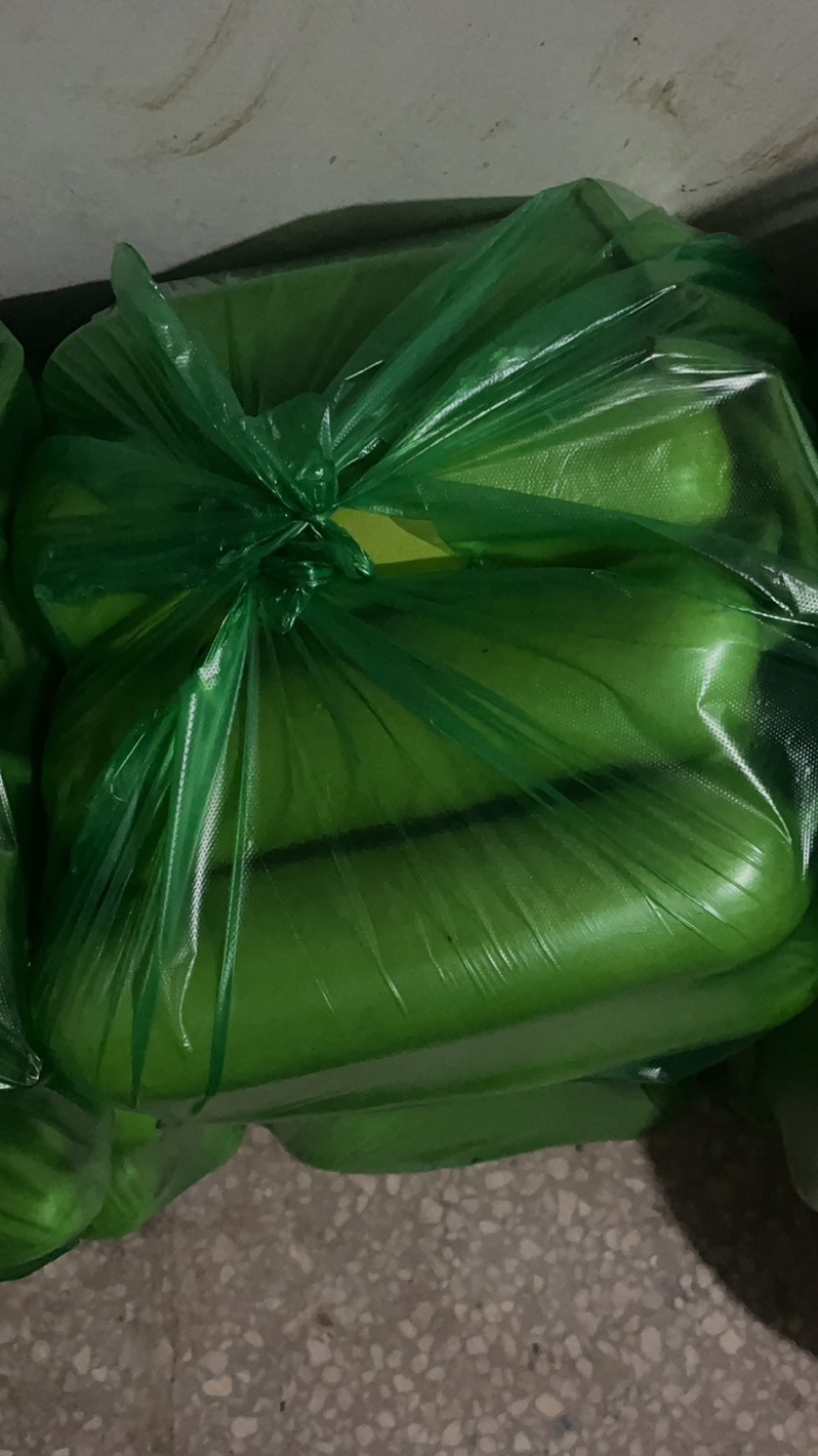 精品瓠瓜，短瓠瓜基地直销质量优价位合理可提供视频看