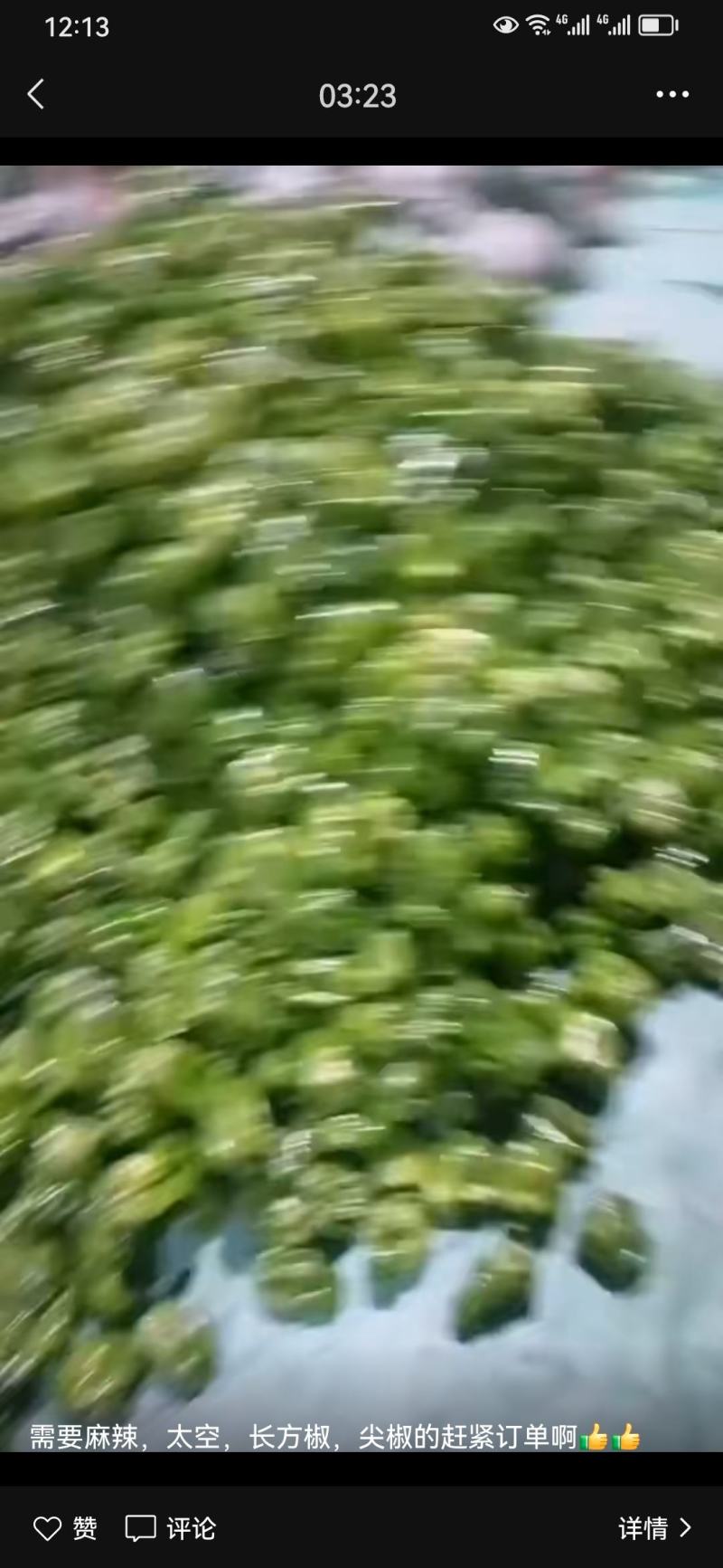 茄子豆角辣椒