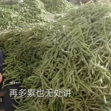 茄子豆角辣椒
