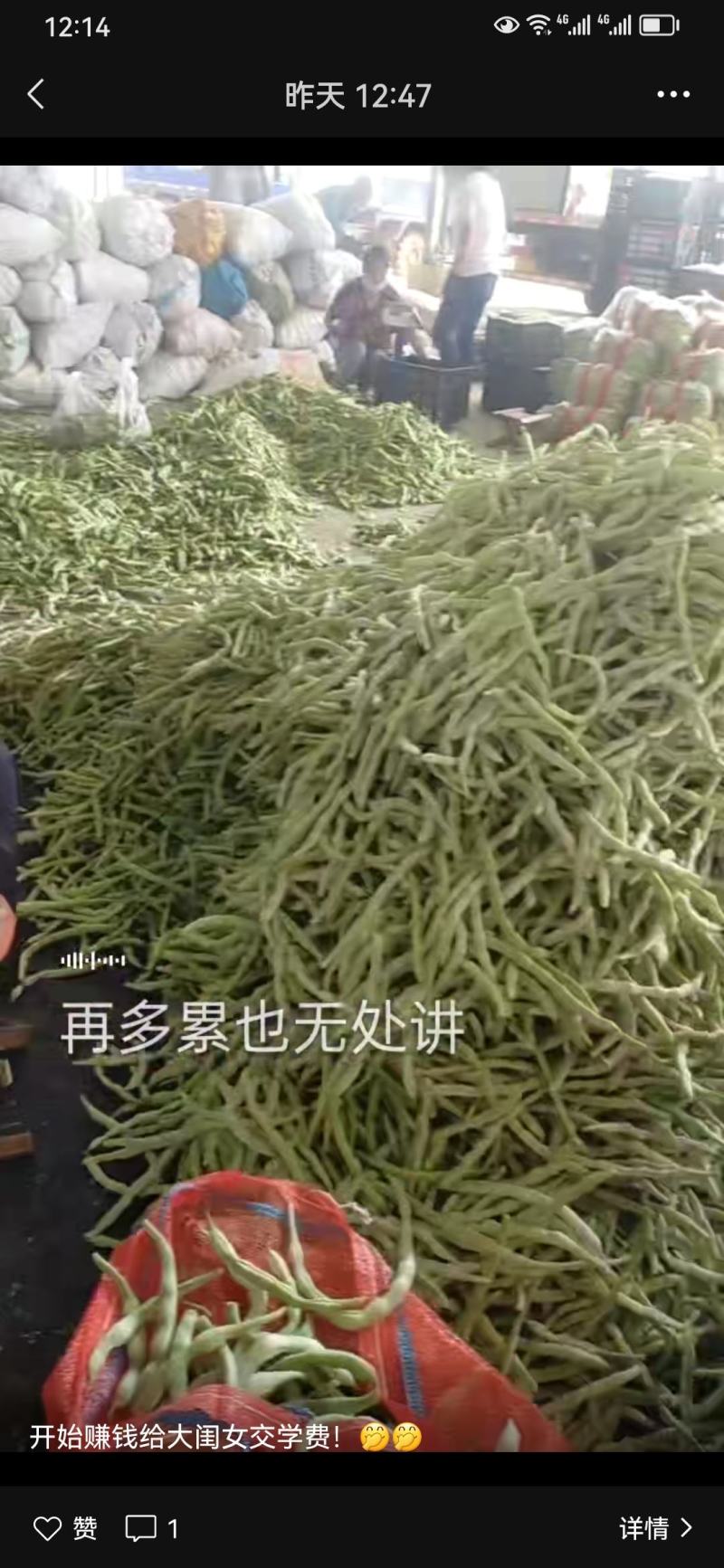 茄子豆角辣椒
