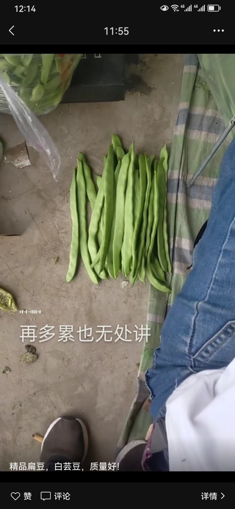 茄子豆角辣椒