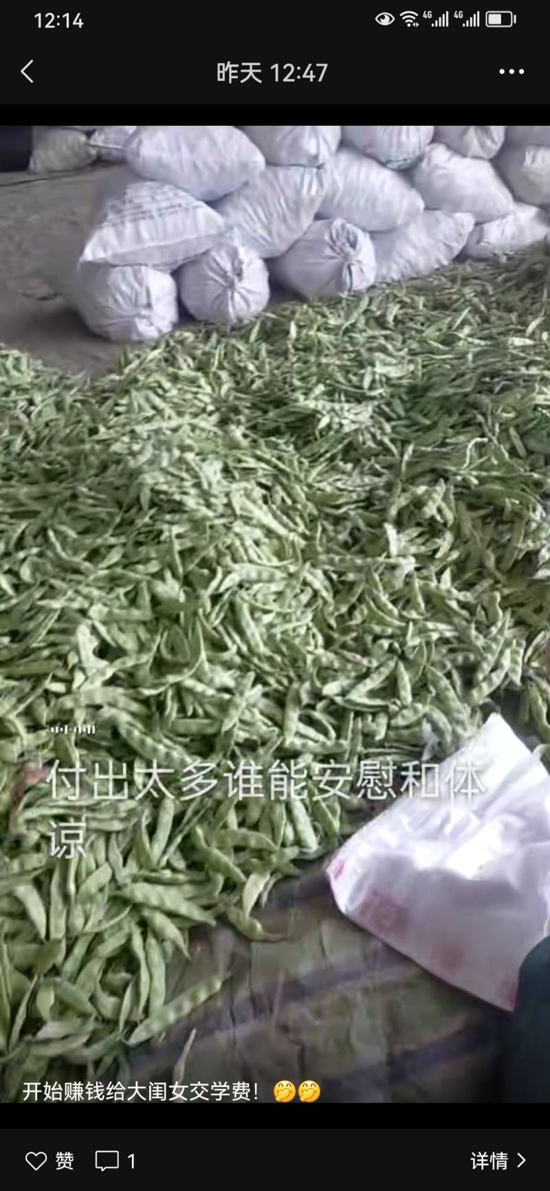 茄子豆角辣椒