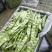 茄子豆角辣椒