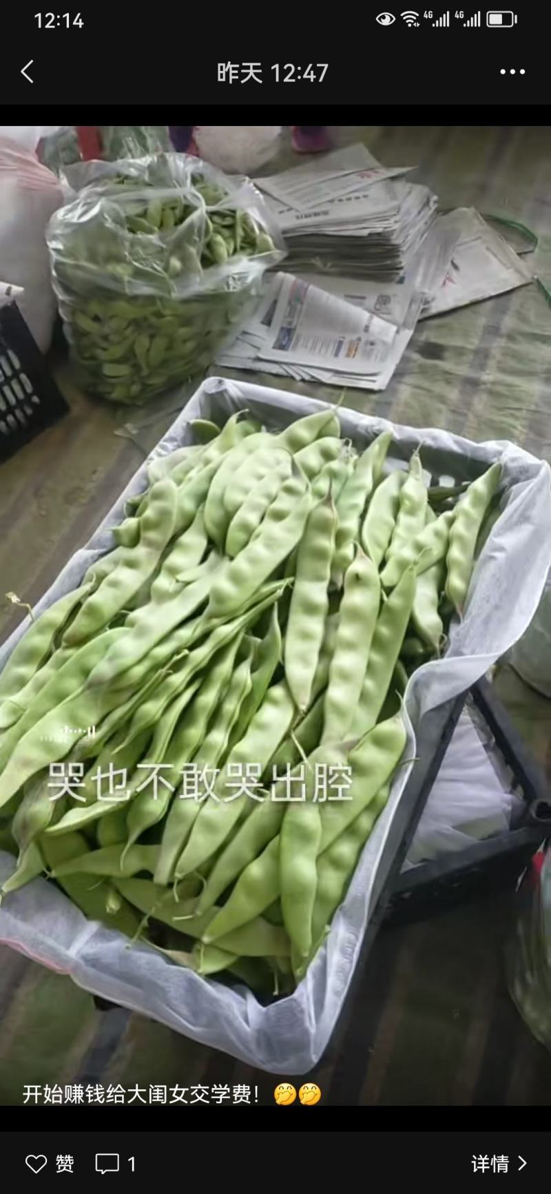 茄子豆角辣椒