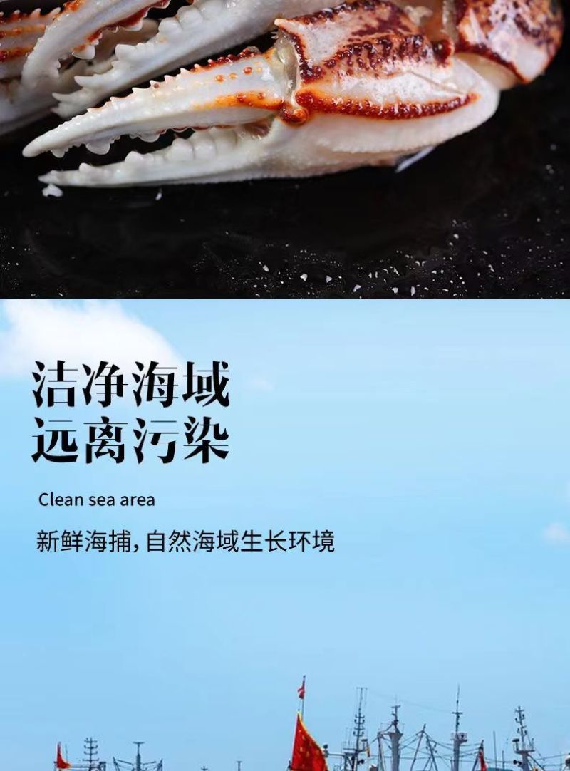 沙蟹钳新鲜蟹腿醉蟹钳原料麻辣蟹钳脆皮蟹钳蟹脚特大号蟹钳蟹