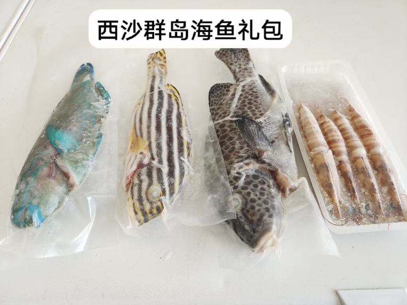 海鲜礼盒礼包随心配鲍鱼帝王蟹波龙高端中等代发