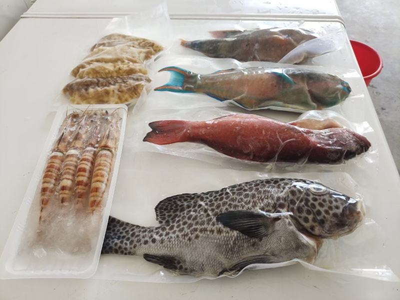 海鲜礼盒礼包随心配鲍鱼帝王蟹波龙高端中等代发