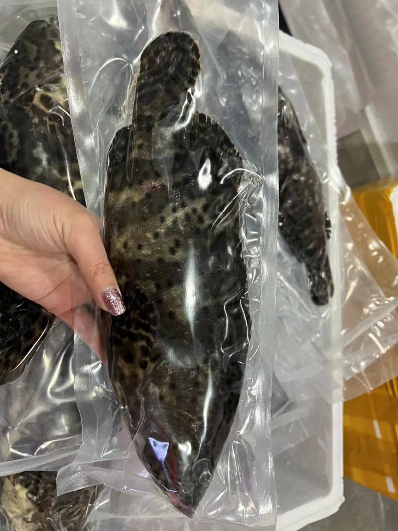 海鲜礼盒礼包随心配鲍鱼帝王蟹波龙高端中等代发