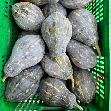 香芋南瓜