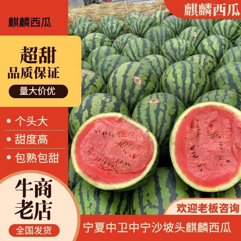 应季西瓜全国包邮