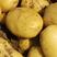 土豆，黄心黄皮土豆出售！产地供应一条龙服务让您无后顾之忧