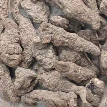 河南焦作特产生地个