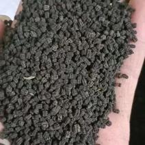 蚕沙蚕砂