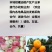 好品质才是硬道理！诚信至上！需要私信联系！