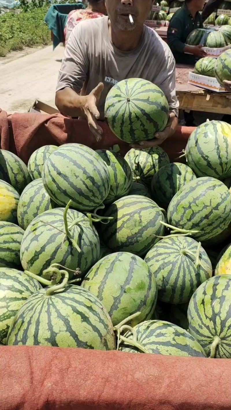 美都西瓜大量上市中，保熟，保甜，保售后，质量三包
