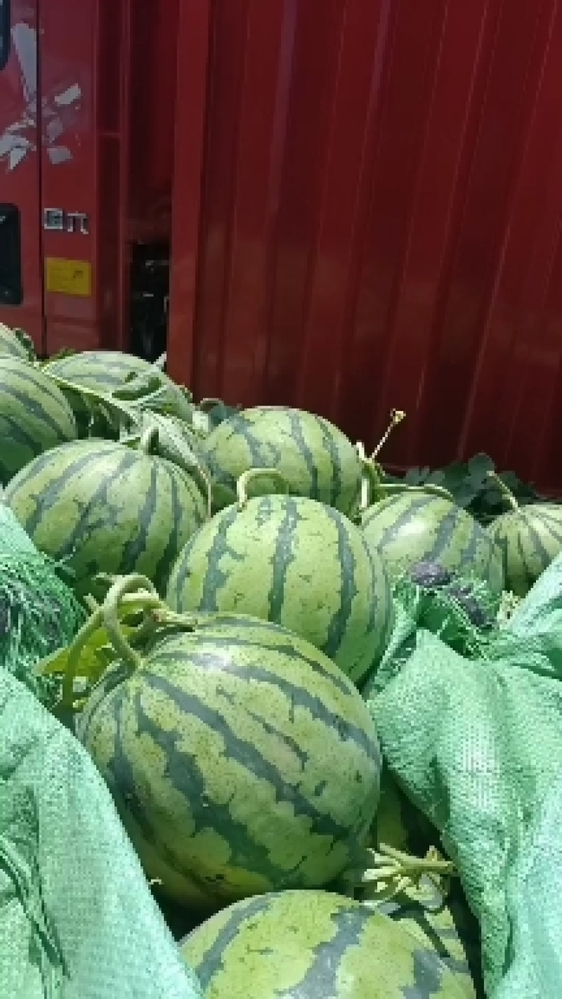 美都大量上市中，口感甜质量好薄皮大红肉，保熟保甜