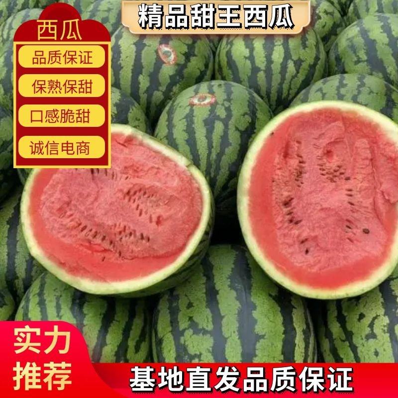 [甜王西瓜批发]陕西渭南蒲城县西瓜 0.40元/斤【陕西】甜王西 _ 一亩田