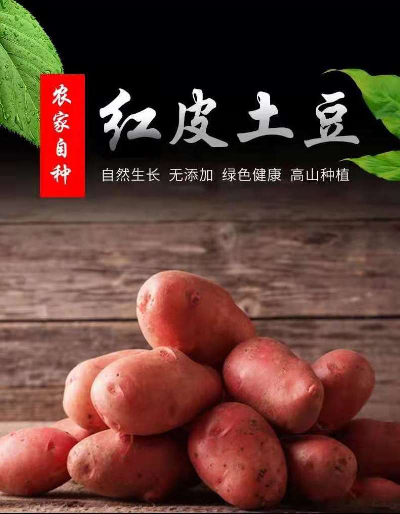 洋芋