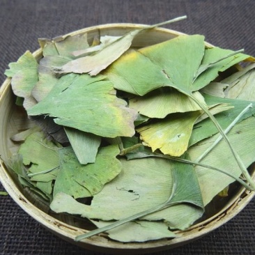 银杏叶无硫无熏蒸可泡茶自己家种植,有现货24小时内发货