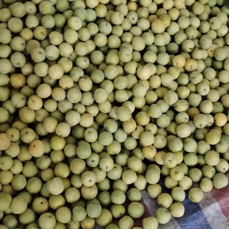 我是汉源水果代办，现桃花李（玉皇李），青脆李，半边红，