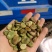 罗汉豆蚕豆新季休闲品