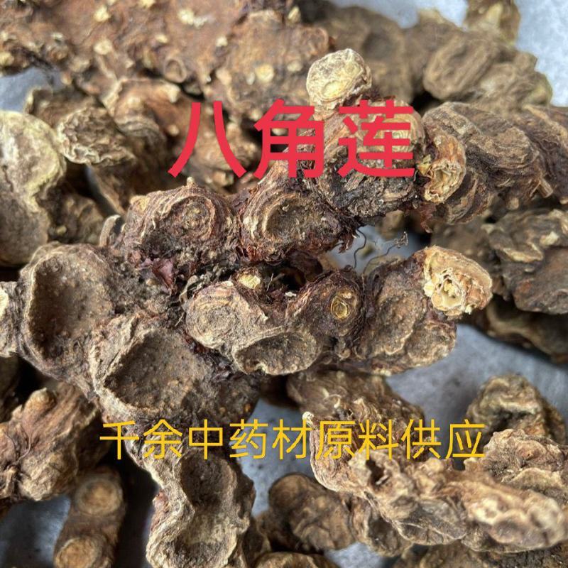 野生药材八角莲一碗水山荷叶金魁莲一把伞八角连八角七边