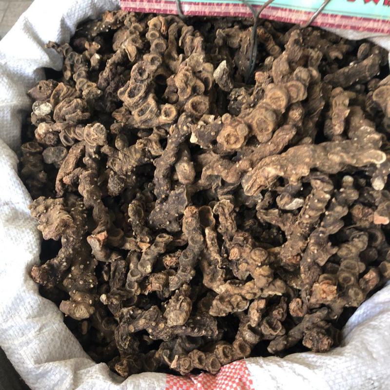 野生药材八角莲一碗水山荷叶金魁莲一把伞八角连八角七边