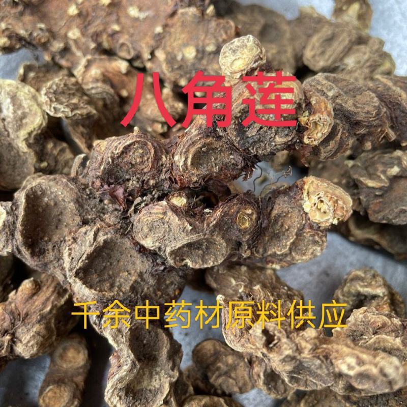 野生药材八角莲一碗水山荷叶金魁莲一把伞八角连八角七边