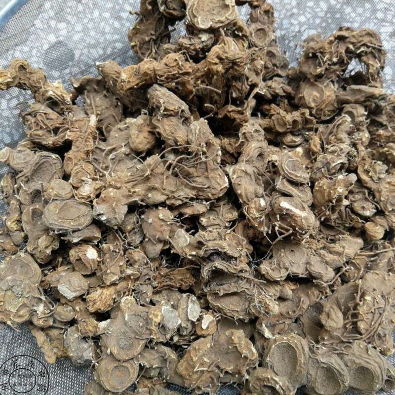 野生药材八角莲一碗水山荷叶金魁莲一把伞八角连八角七边