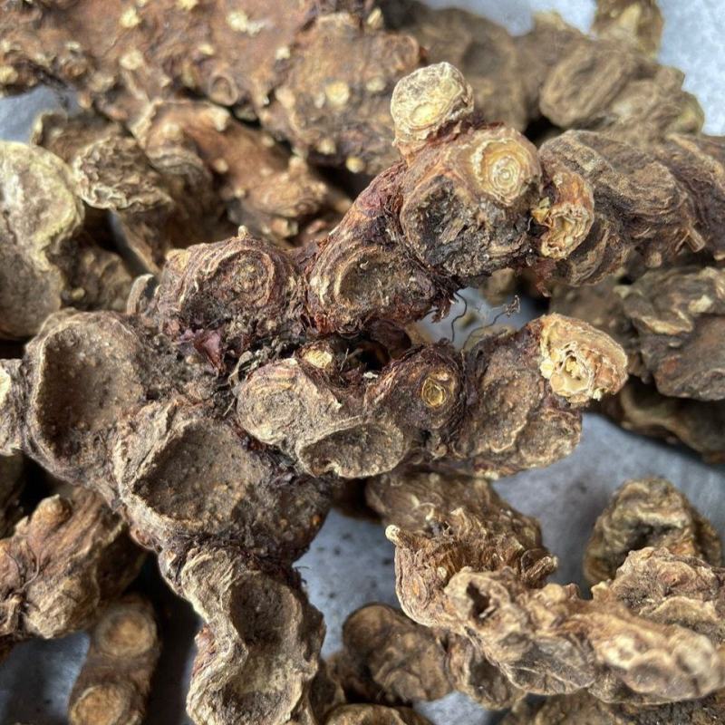 野生药材八角莲一碗水山荷叶金魁莲一把伞八角连八角七边