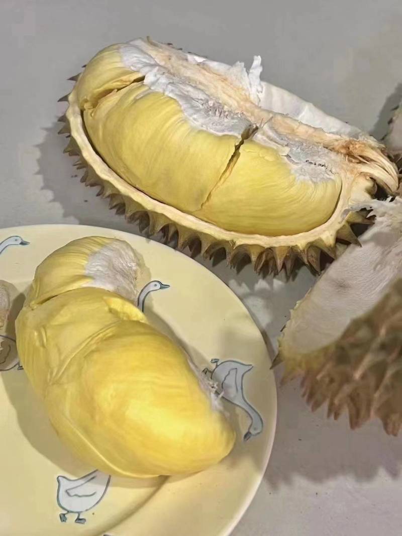 越南金枕榴莲产地直发关口直接大量现货价格优惠