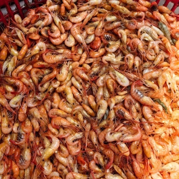 油炸小河