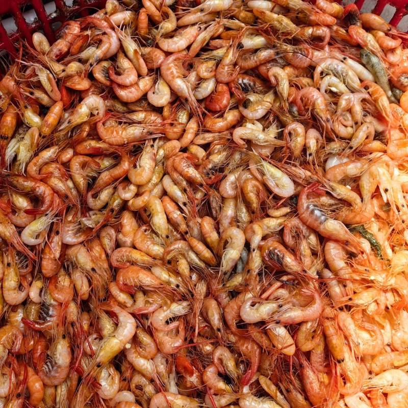 油炸小河