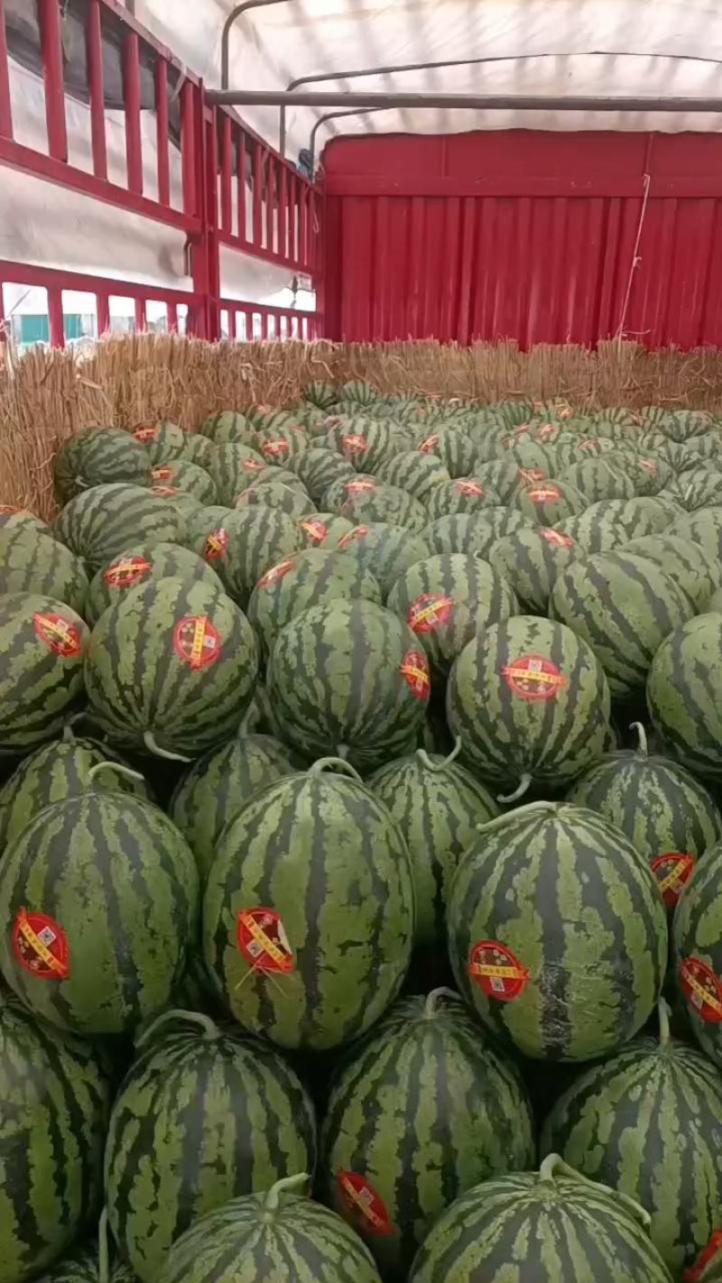 【西瓜】甜王西瓜，大量上市产地直发现摘现发欢迎采购