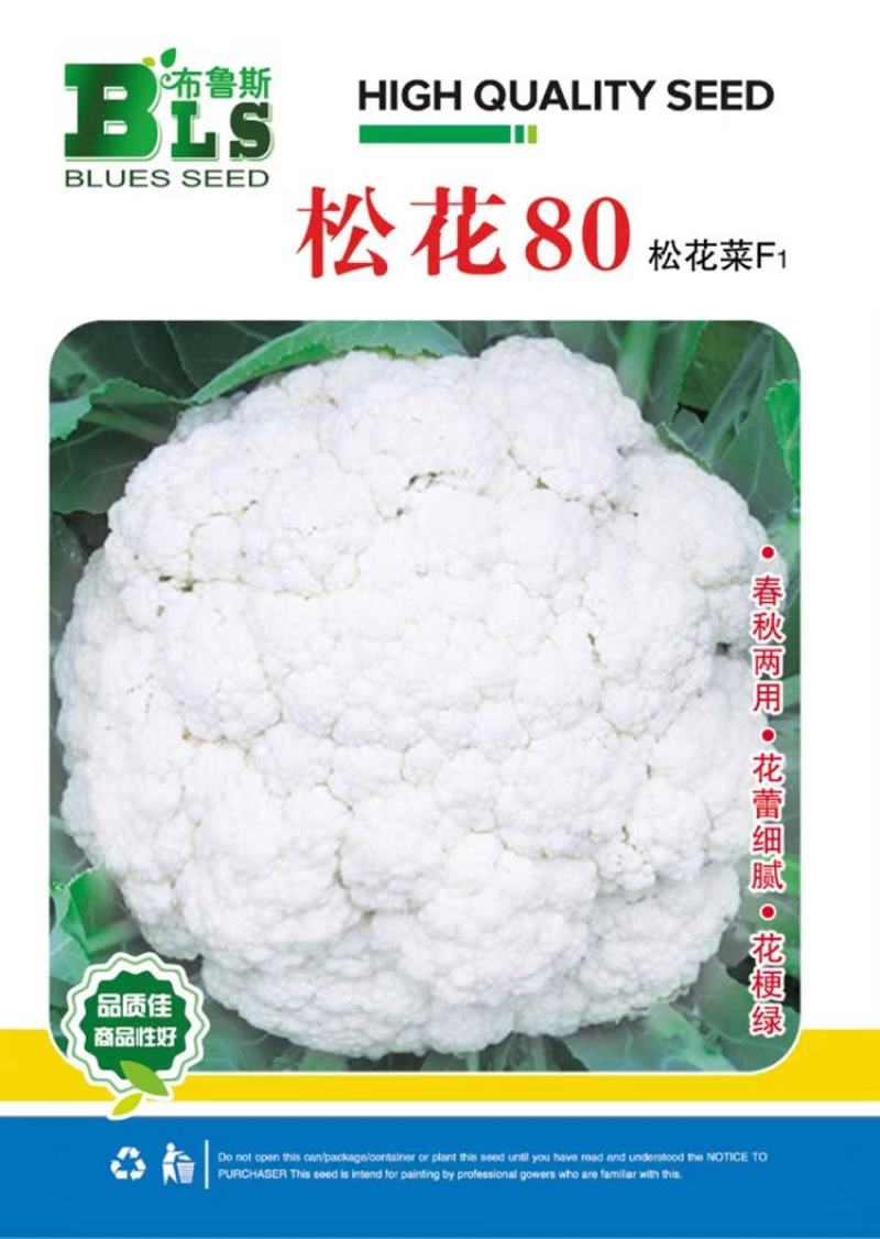 布鲁斯松花80花椰菜种子春秋两用75-80天松花菜种籽