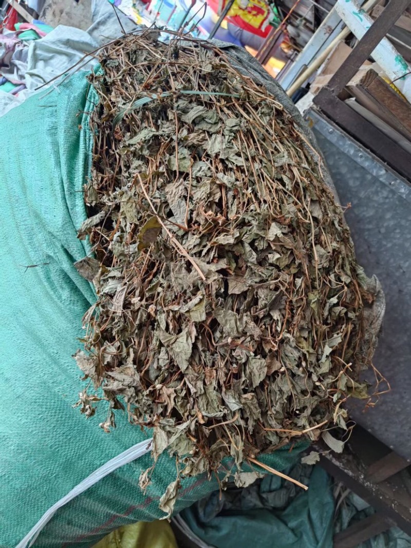 粤北本地野生鱼腥草折耳根干货新货