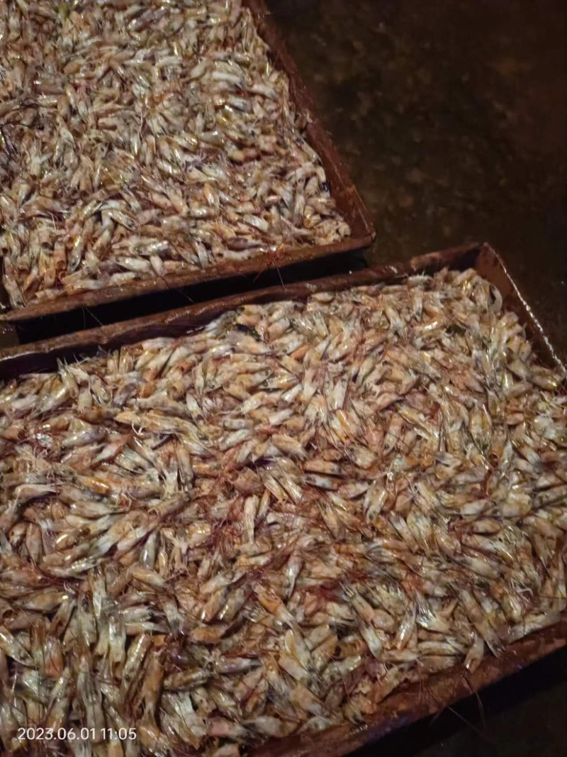 虾头，虾壳