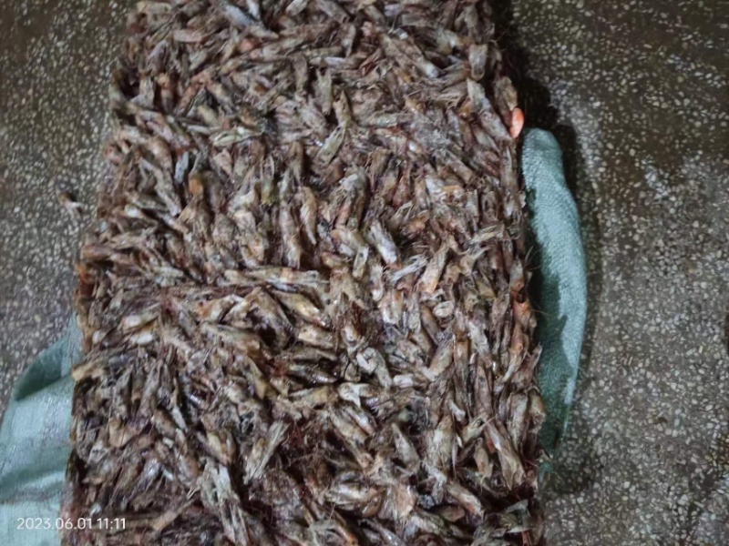 虾头，虾壳