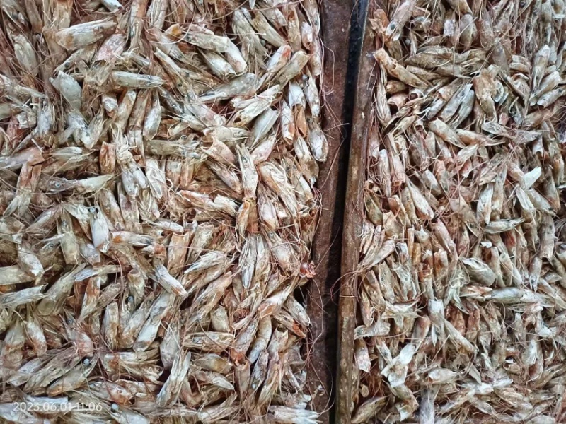 虾头，虾壳