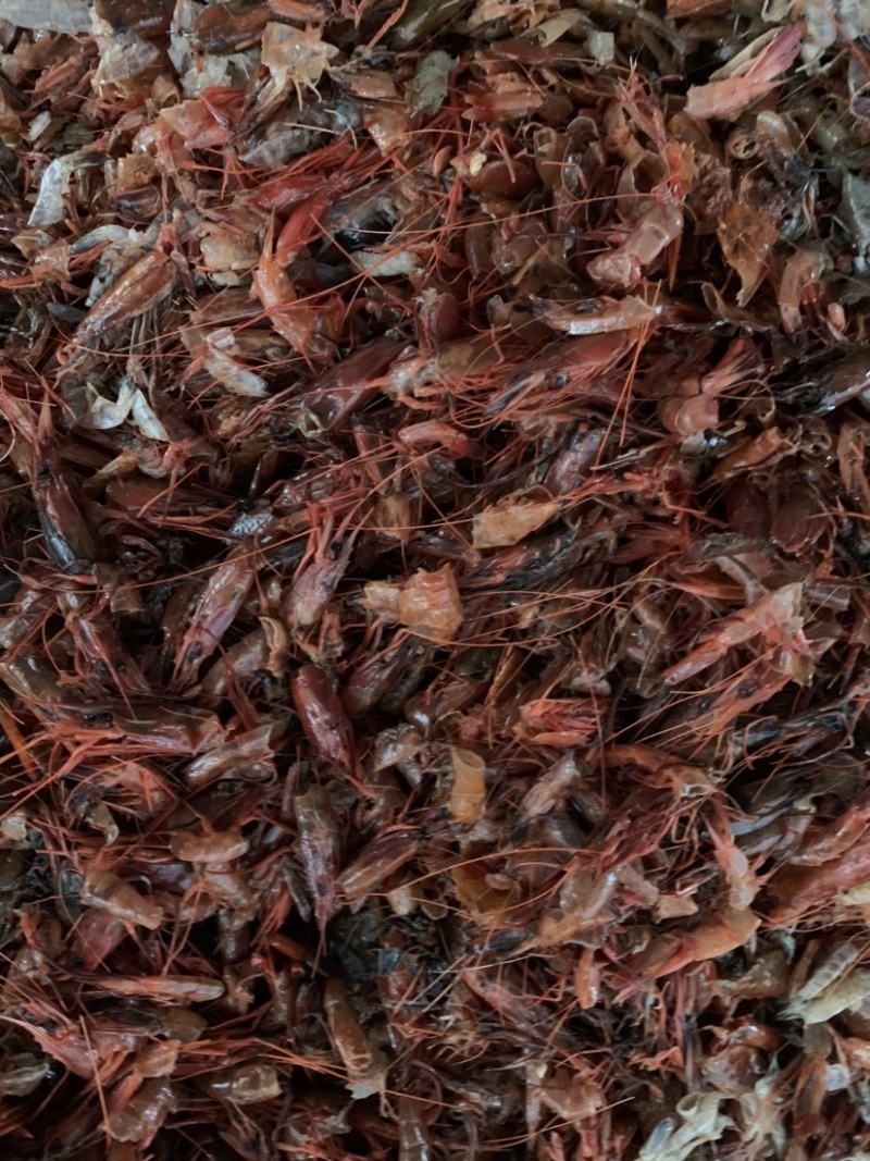 虾头，虾壳