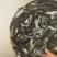 青尾鯝，供应各种鱼类下池