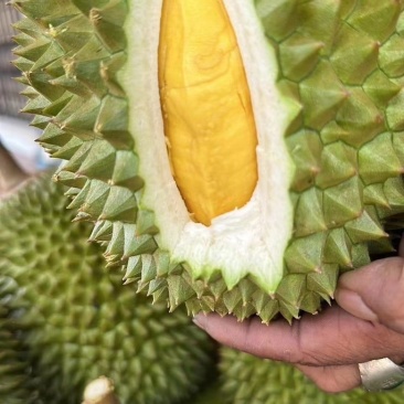 越南干尧榴莲新鲜进口水果小箱3-4头A果非金枕榴莲