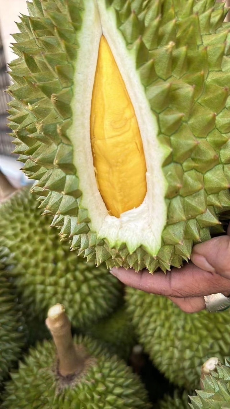 越南干尧榴莲新鲜进口水果小箱3-4头A果非金枕榴莲